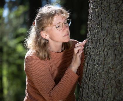 Kvinna som letar efter granbarkborrar på en stam i soligt sommarväder. Fotograf: John Lindström