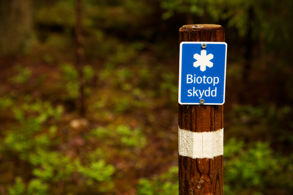 Bild på biotopsskyddssymbol på stolpe. Foto: R Magnusson
